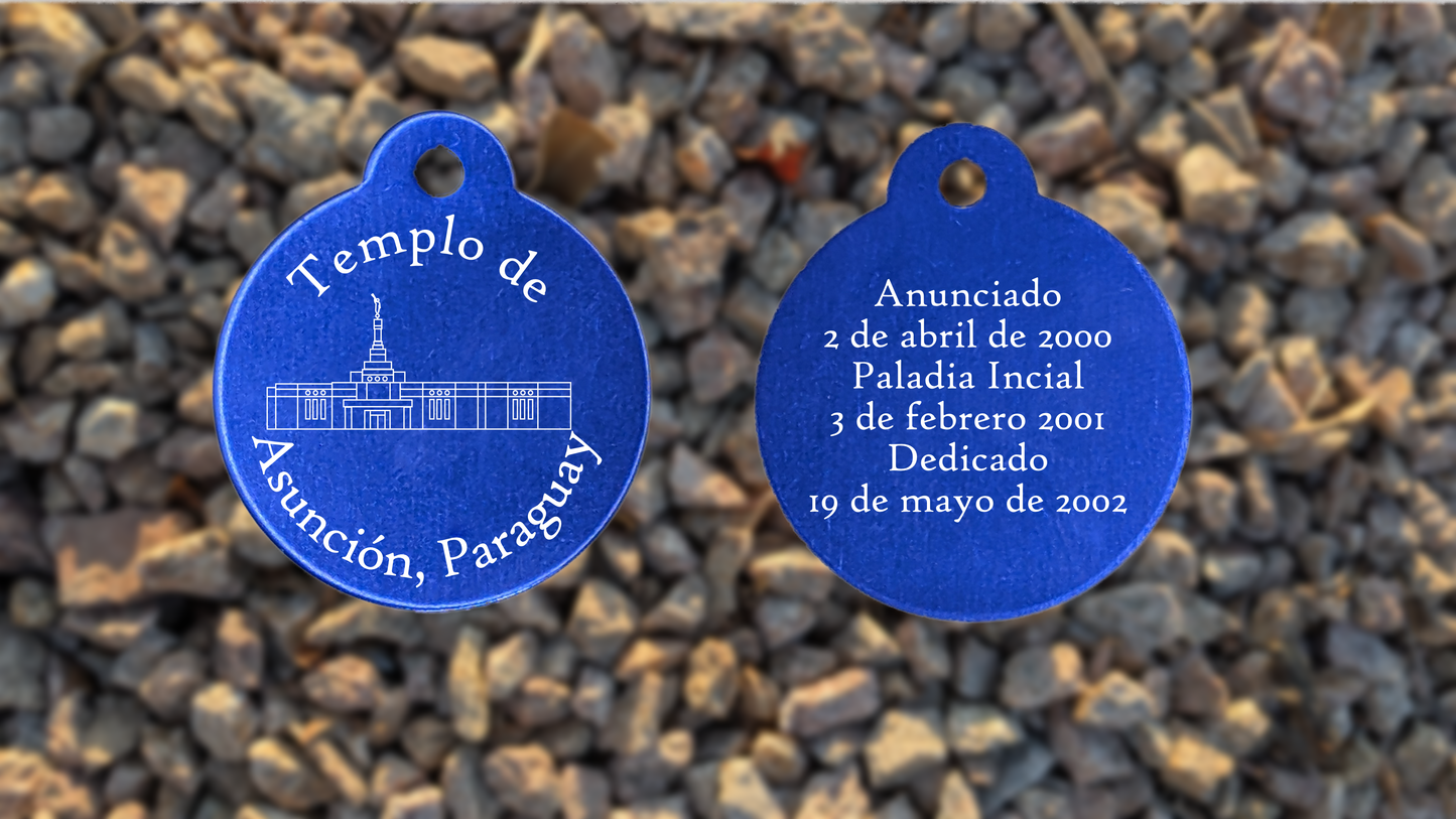 Asunción Paraguay Temple Medallion
