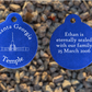 Atlanta Georgia Temple Medallion