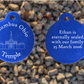 Columbus Ohio Temple Medallion