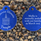 Nauvoo Illinois Temple Medallion