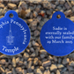 Philadelphia Pennsylvania Temple Medallion