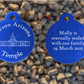 Tucson Arizona Temple Medallion
